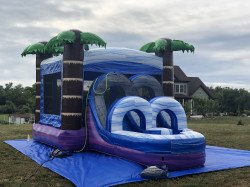 IMG 0638 1642969069 Tropical Bounce house (wet or dry slide)