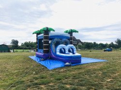 IMG E0637 1642969070 Tropical Bounce house (wet or dry slide)