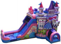 IMG 0362 1705975654 Princess castle (wet or dry slide)