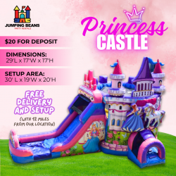 Princess  castle (wet or dry slide)