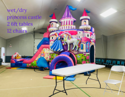 princess castle wet/dry package